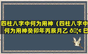 四柱八字中何为用神（四柱八字中何为用神癸卯年丙辰月乙 🦢 巳日）